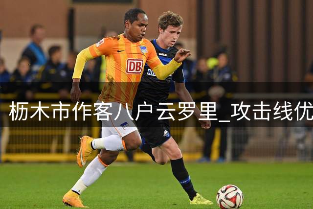 枥木市作客八户云罗里 攻击线优势明显值得期待